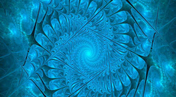 Article de Catarina Viti sur les choix de vie